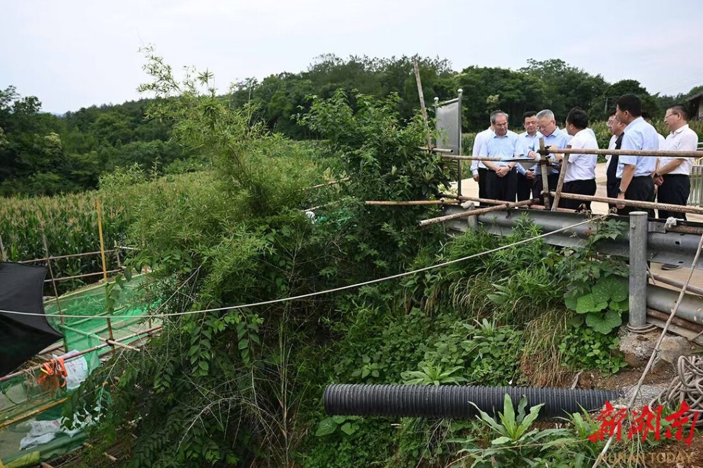 51a5c373ba31e3ae7f53c611fc24ac2c207a59521749462331556